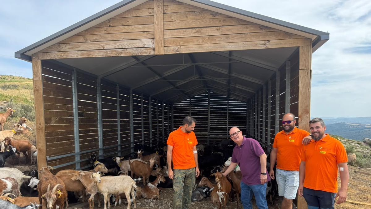 El subdelegado del gobierno en Ourense, Eladio Santos, durante su visita a la explotación de ganado caprino “Val de Conso”.