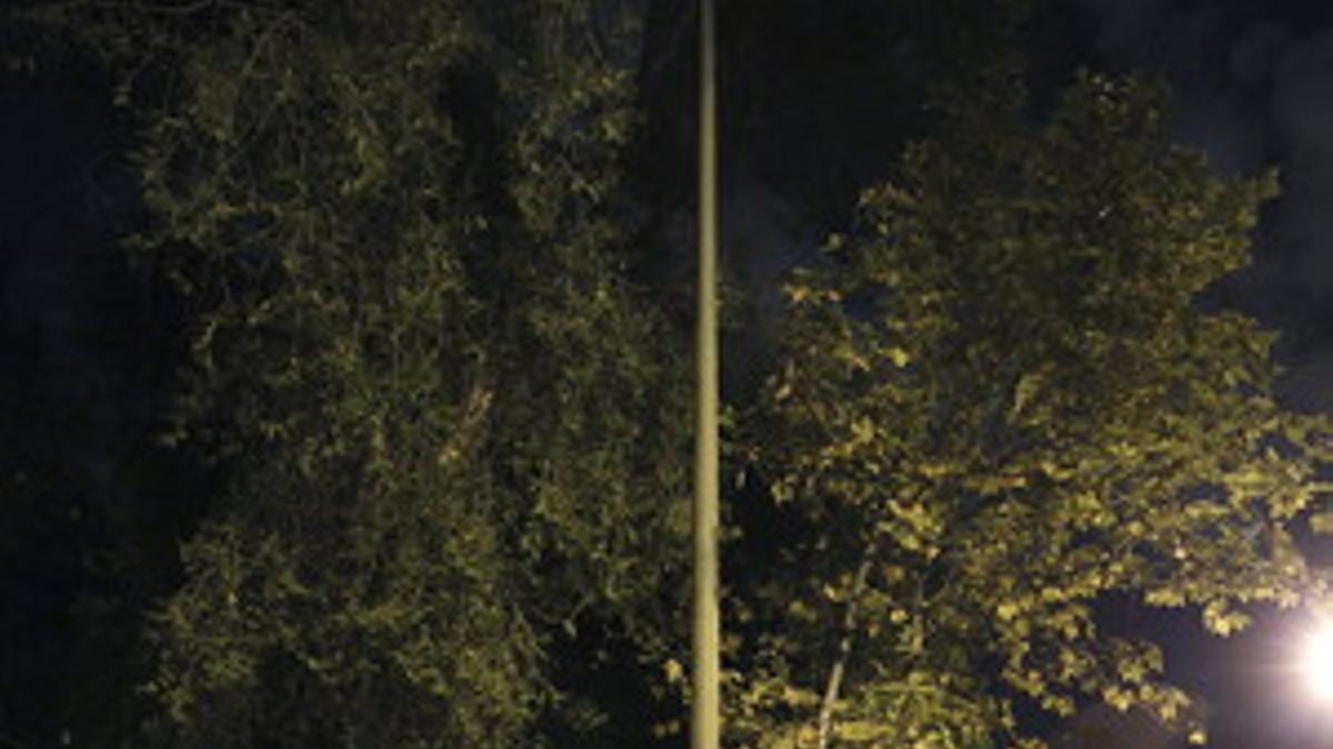 Muere un hombre de 72 años tras caerle una rama de un árbol en Madrid