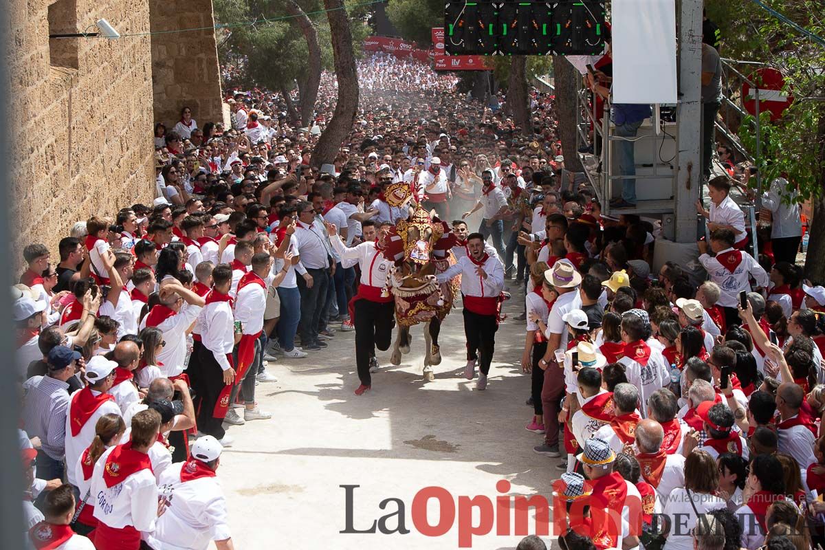 Así ha sido la carrera de los Caballos del Vino en Caravaca