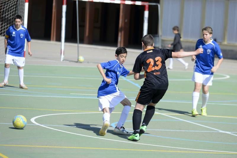 FÚTBOL: Rosa Molas - Colo Colo B (Infantil Superserie)