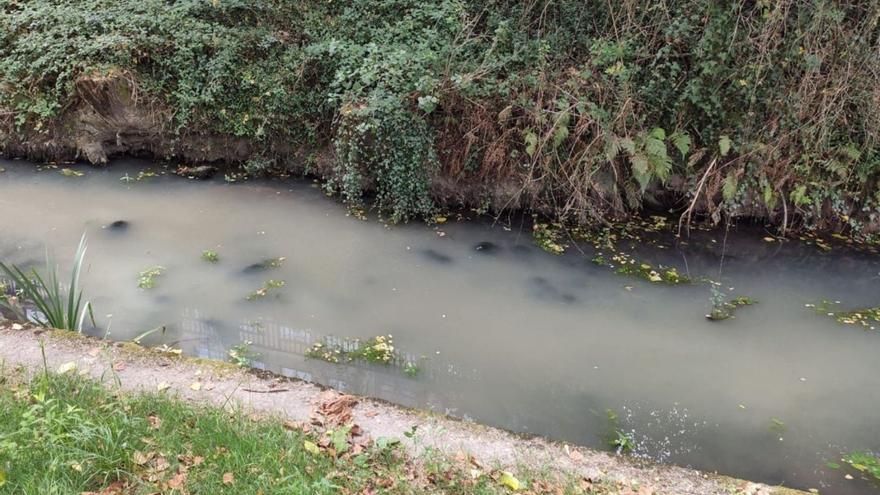 Una imagen del río Os Gafos con sus aguas teñidas de blanco.   | // FDV