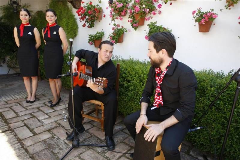 La presentación de la Guía de los Patios 2014, en imágenes