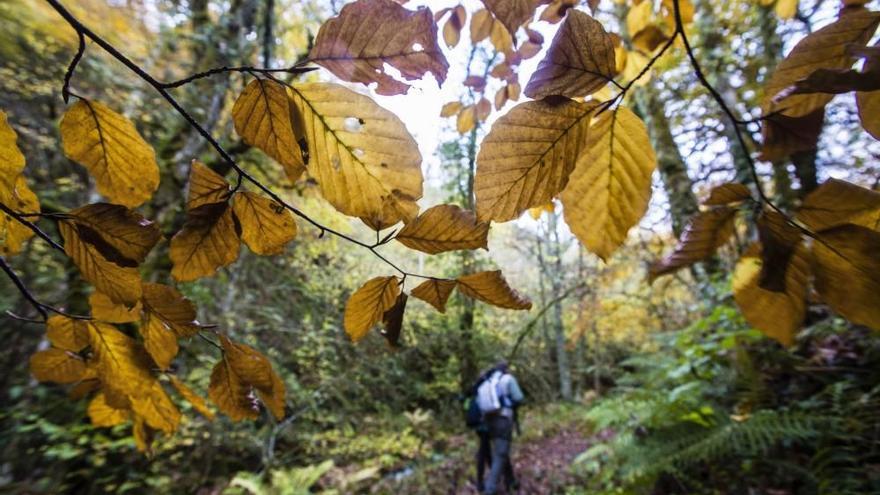 Las 100 fotos que demuestran que el otoño es la mejor época para conocer Asturias