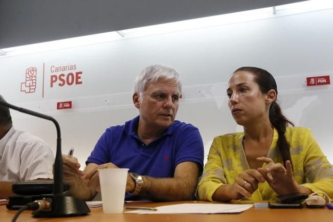 Delia Padrón Comisión Ejecutiva Regional del PSOE de Canarias , Miguel Ángel Pérez ,  Patricia Hernández y Julio Cruz entre otros