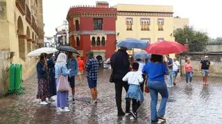 La lluvia deja 34 litros en Carcabuey tras casi 3 meses sin precipitaciones en la provincia