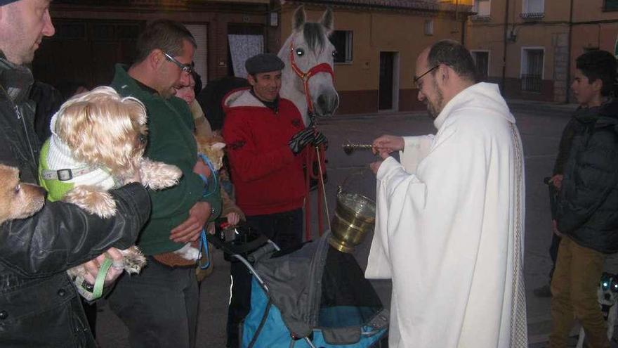 Un sacerdote bendice a los animales congregados en el exterior de la iglesia en una fiesta de otro año.