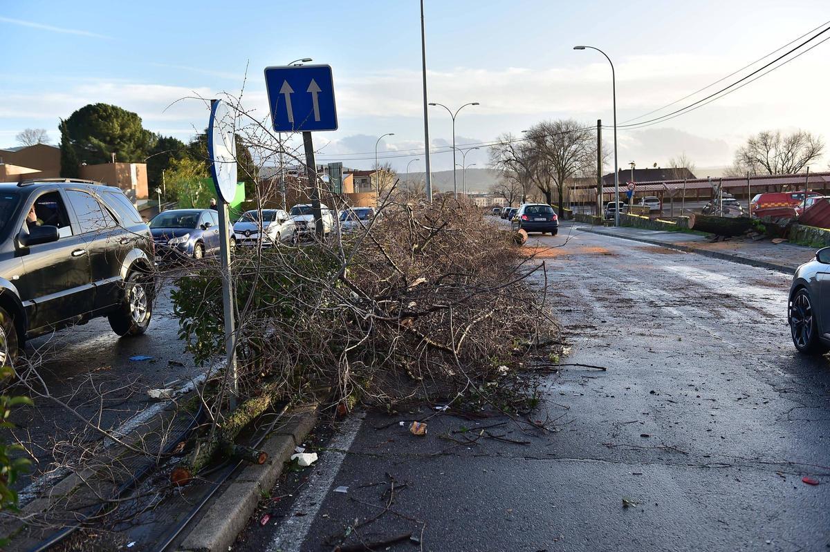 Fotogalería | Un tornado arrasa la zona del aparcamiento del hospital Virgen del Puerto de Plasencia