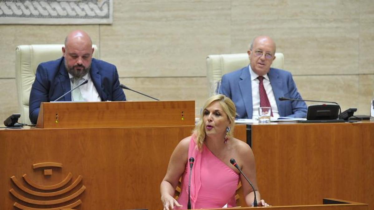 Elena Manzano en el pleno de este jueves en la Asamblea.