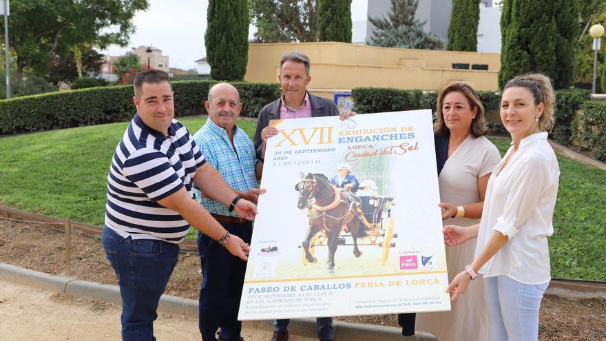 Las Alamedas de Lorca acogerán el fin de semana la exhibición de enganches en la que participarán más de 40 carruajes