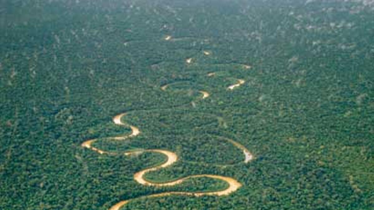cuenca amazónica