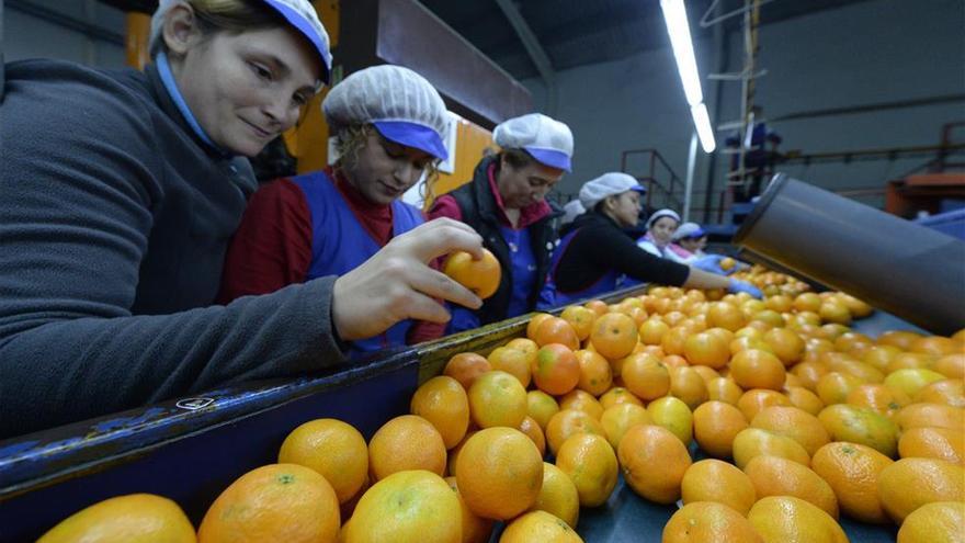 Europa sitúa a la naranja entre los 5 productos agrarios más amenazados