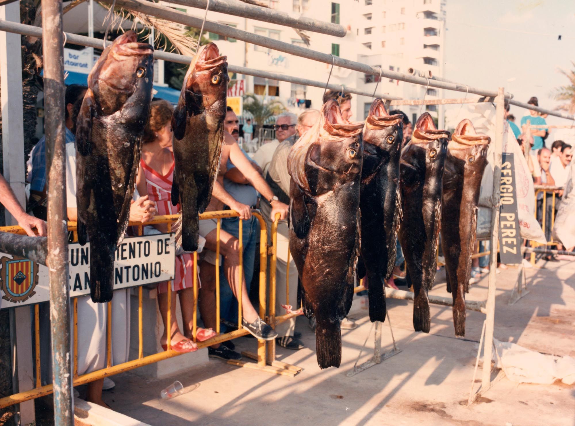 Uno de los primeros campeonatos de pesca, en los años 70.