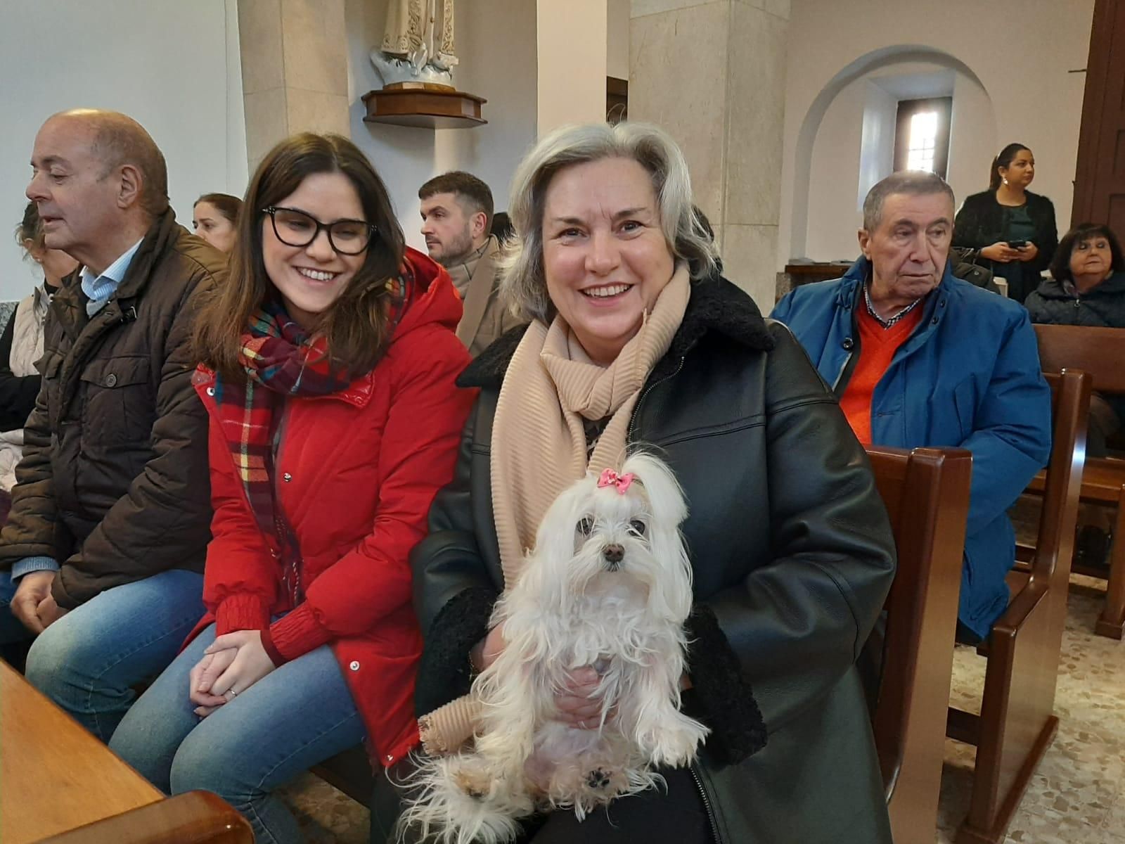 Los animales, protagonistas en Lugones: el día de San Antón en imágenes