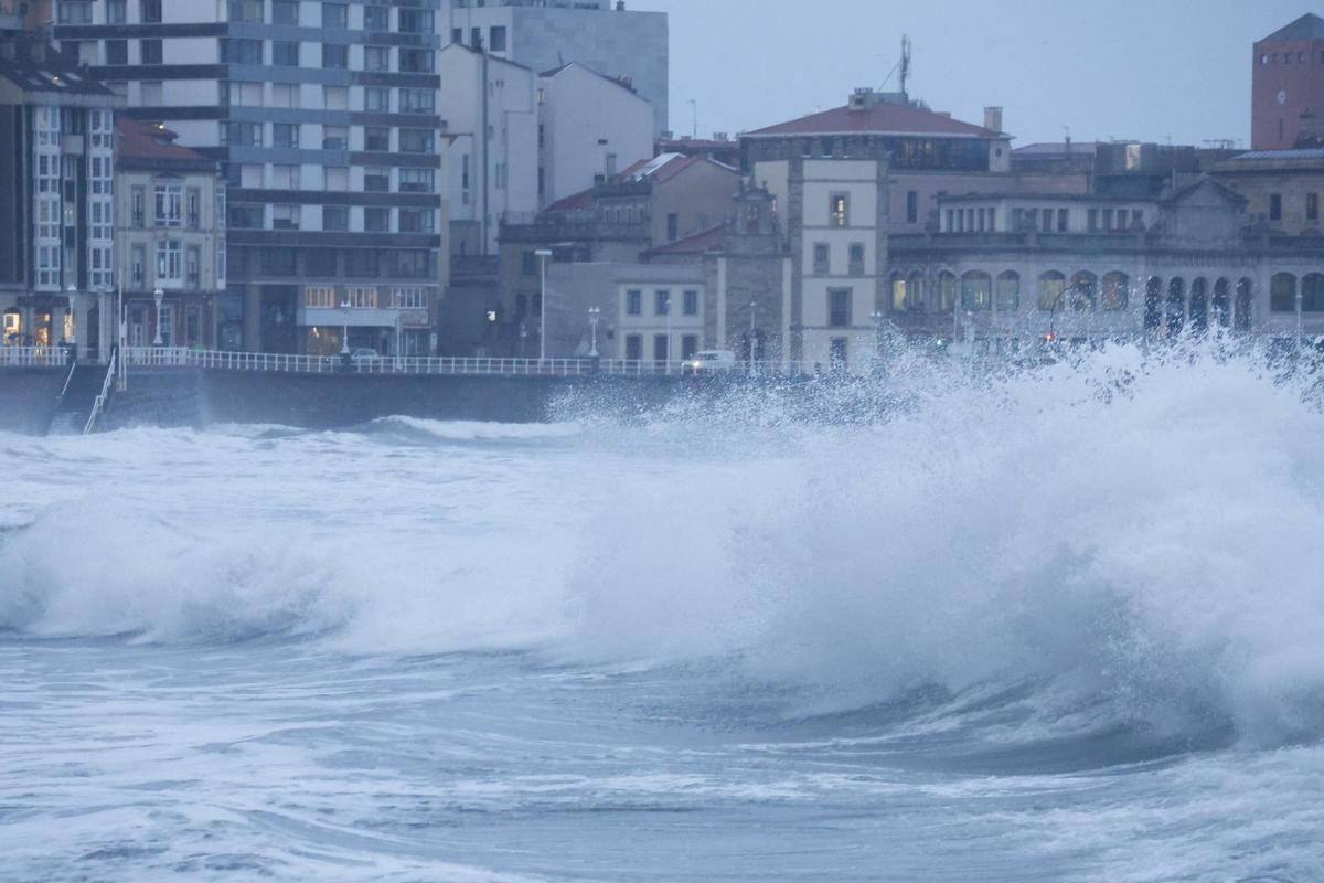 Del rescate de un perro en el mar a caídas de árboles, motos y antenas: los efectos del fuerte temporal de lluvia y viento en Gijón (en imágenes)