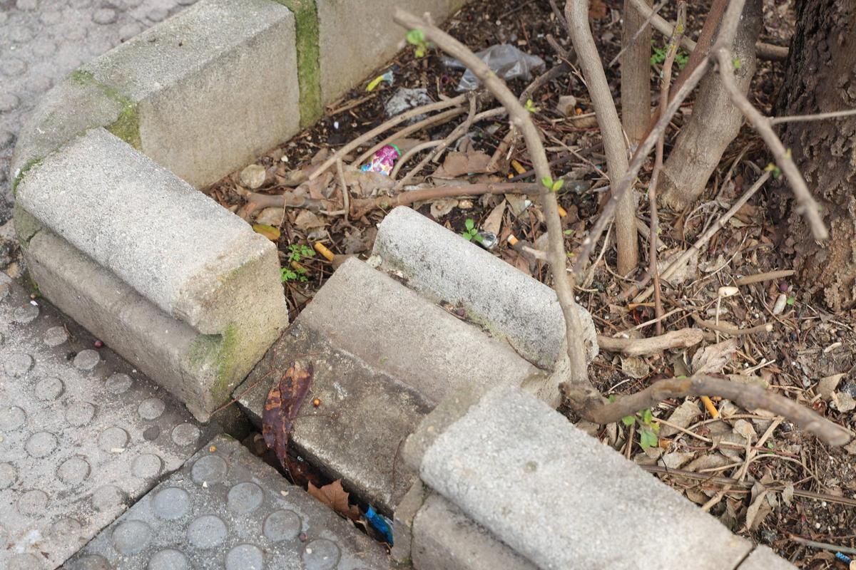 FOTOGALERÍA | La esperada reforma del Paseo de Cánovas de Cáceres, más cerca