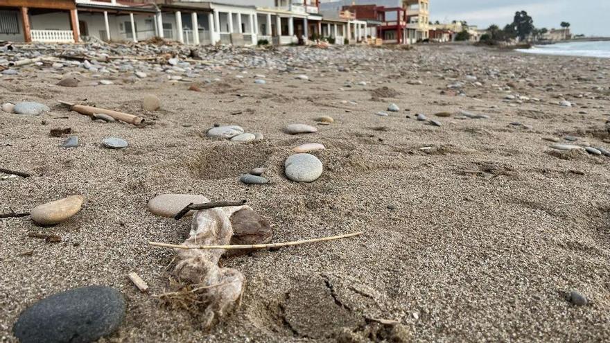 Toallitas higiénicas en la playa de Nules: abren una investigación para descubrir el origen