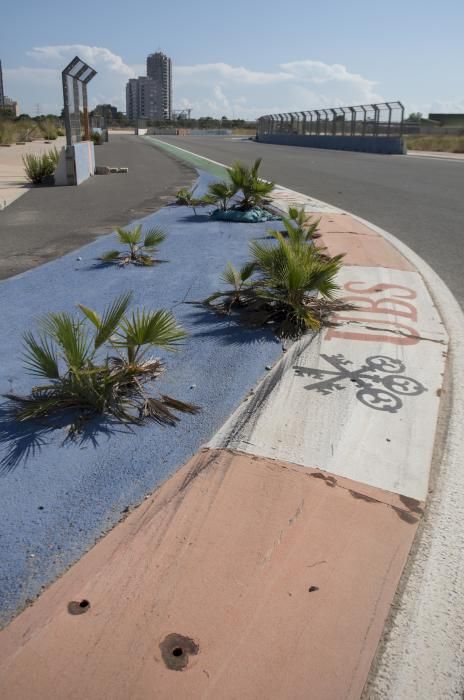 València tendrá un gran delta verte