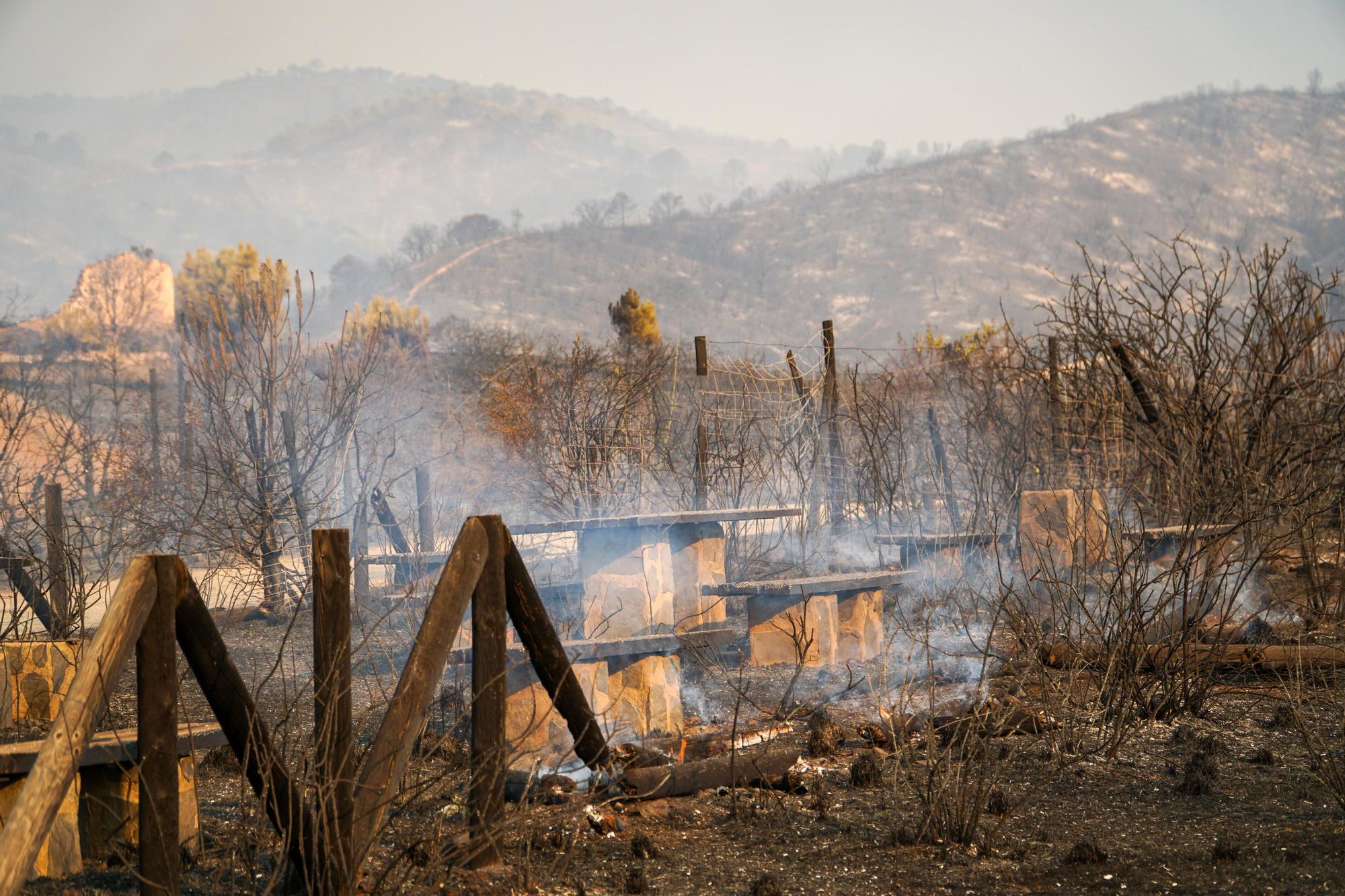 Un incendio en Sierra Bermeja afecta a Jubrique, Genalguacil y Estepona