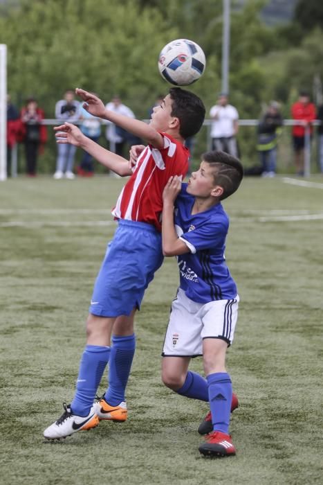 El alevín del Sporting se lleva el título