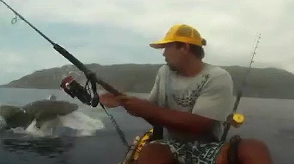 Imatges del pescador i el tauró capturades des del caiac.