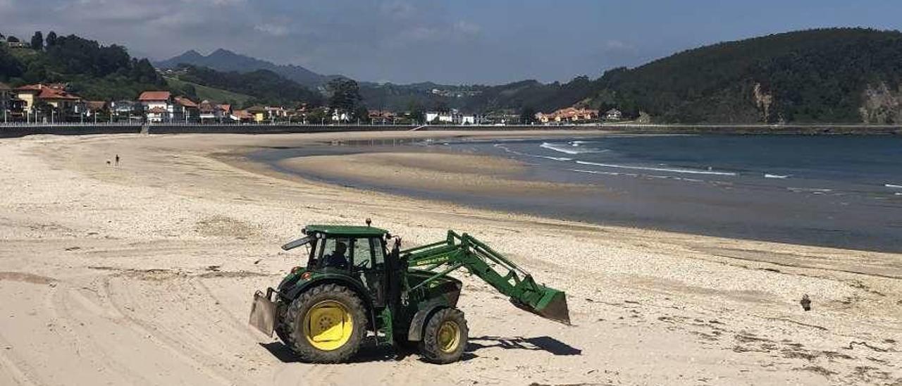 Maquinaria trabajando en las labores de limpieza en la playa de Santa Marina, ayer.