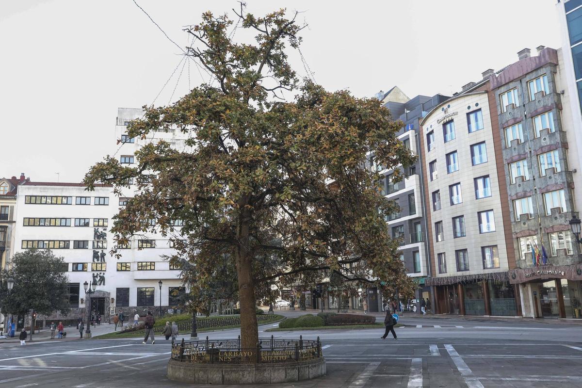 El Carbayón actual, detrás del Teatro Campoamor
