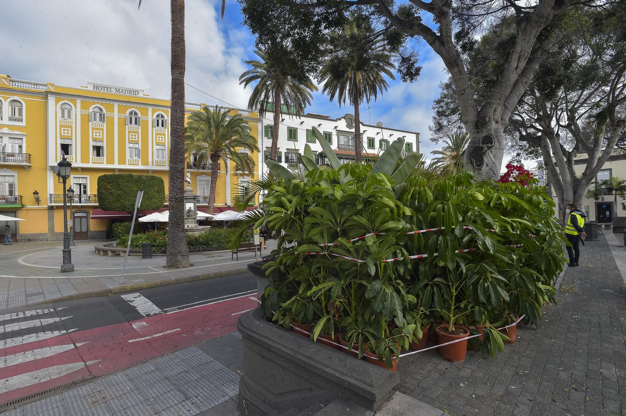 Acondicionamiento de jardines en el entorno de la Plaza de Cairasco con motivo del rodaje de 'The Mother'