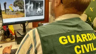Investigadas cuatro personas por cazar de manera furtiva en Hornachos y Puebla de la Reina