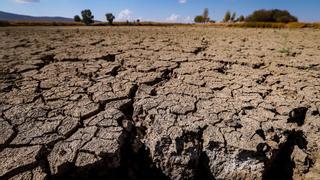 Las nuevas medidas por la sequía beneficiarán a 40.000 agricultores y ganaderos de Córdoba
