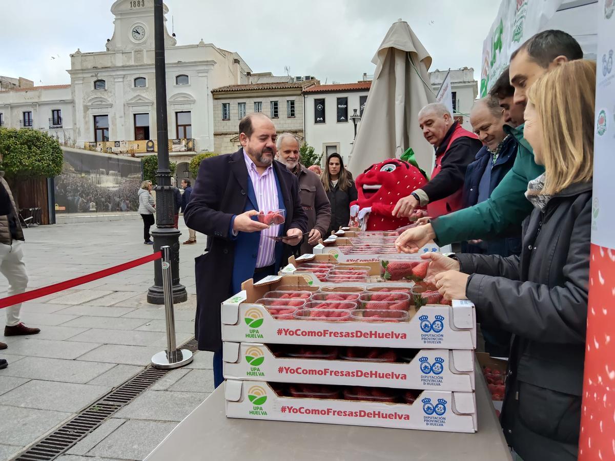 Galería | Reparto de fresas en la Plaza de España de Mérida, un acto de UPA-UCE