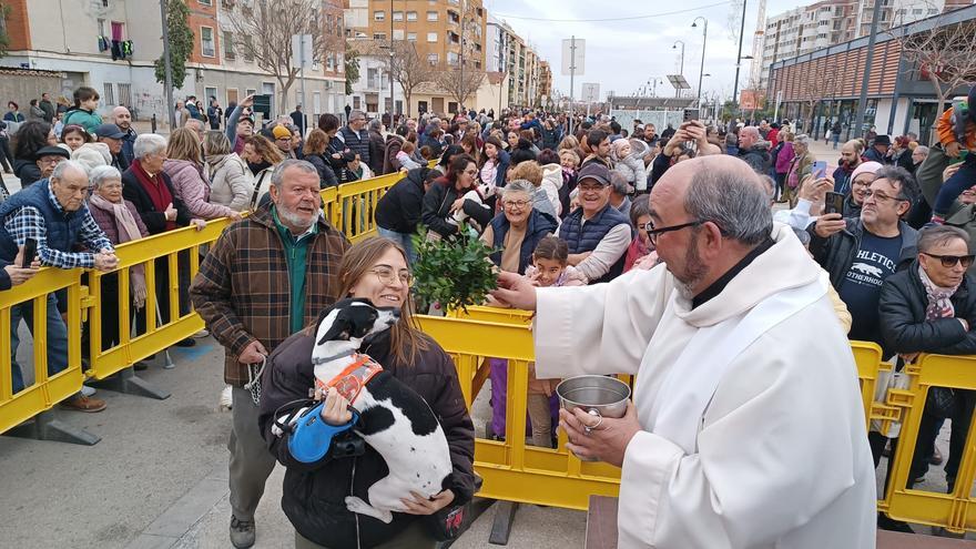 Cientos de animales son bendecidos en Quart de Poblet por la Festividad de San Antonio Abad