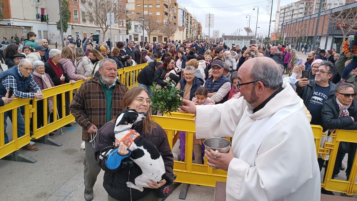 Bendición de animales en Quart de Poblet