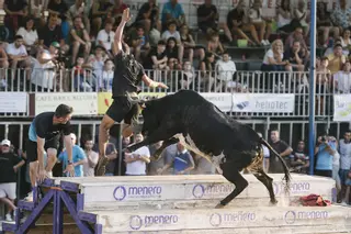 Imágenes del estreno de Alberto Garrido en el concurso de ganaderías de la Vall d'Uixó