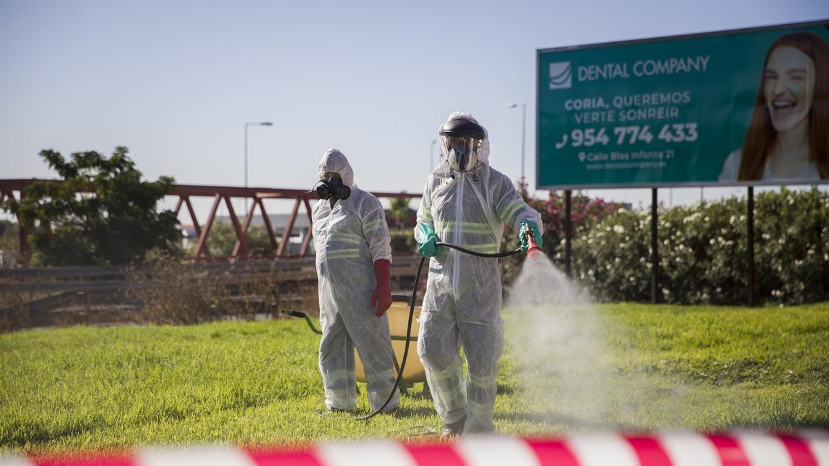 Encerrados por el Virus del Nilo: “Hay muchos afectados graves a los que no se les hace la prueba”