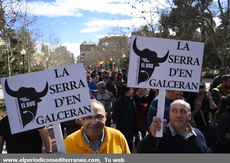 GALERÍA DE FOTOS -- Seguimiento de la manifestación protaurina -- Parte 1