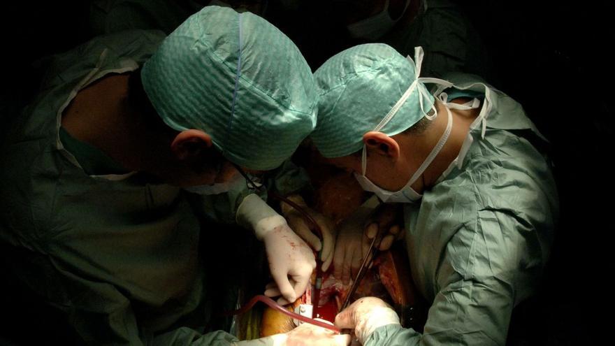 Canarias realiza 174 trasplantes de órganos gracias a 125 donantes