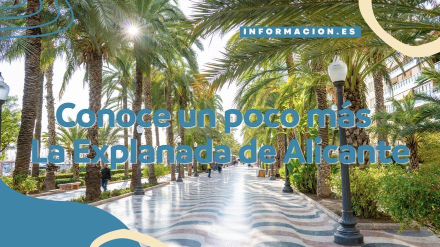Conoce mejor la Explanada de España de Alicante