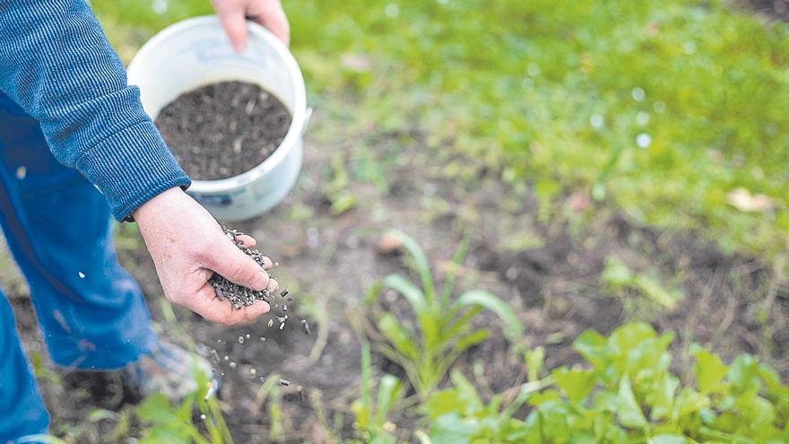 Aprobadas las ayudas de apoyo a los fertilizantes para cultivos de secano y regadío