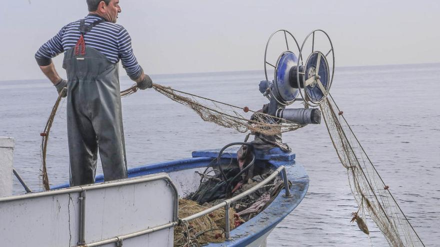 Un pescador faena en aguas de Torrevieja.