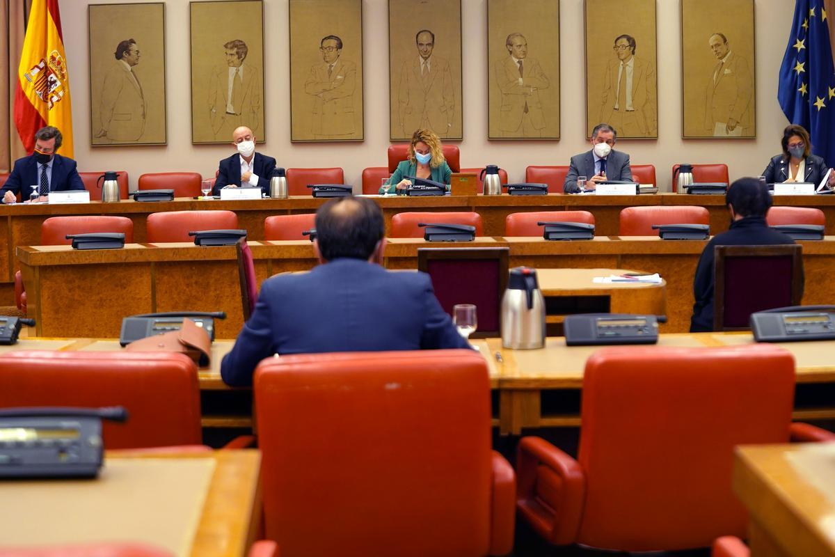 Enrique Arnaldo, durante su comparecencia en el Congreso.