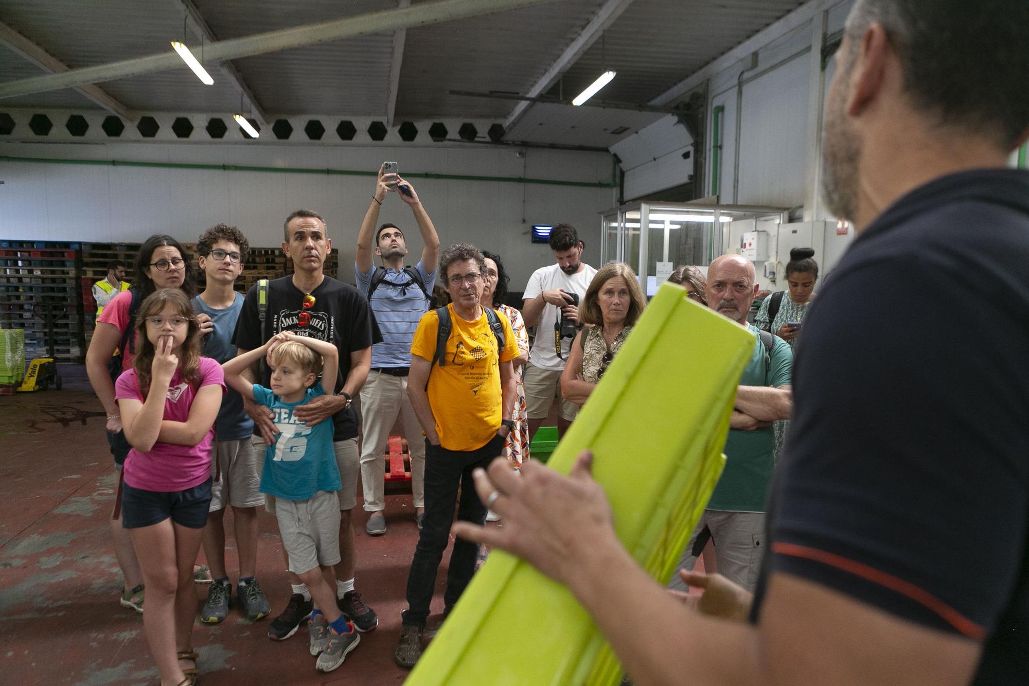 EN IMÁGENES: Vuelven las visitas guiadas a la rula de Avilés