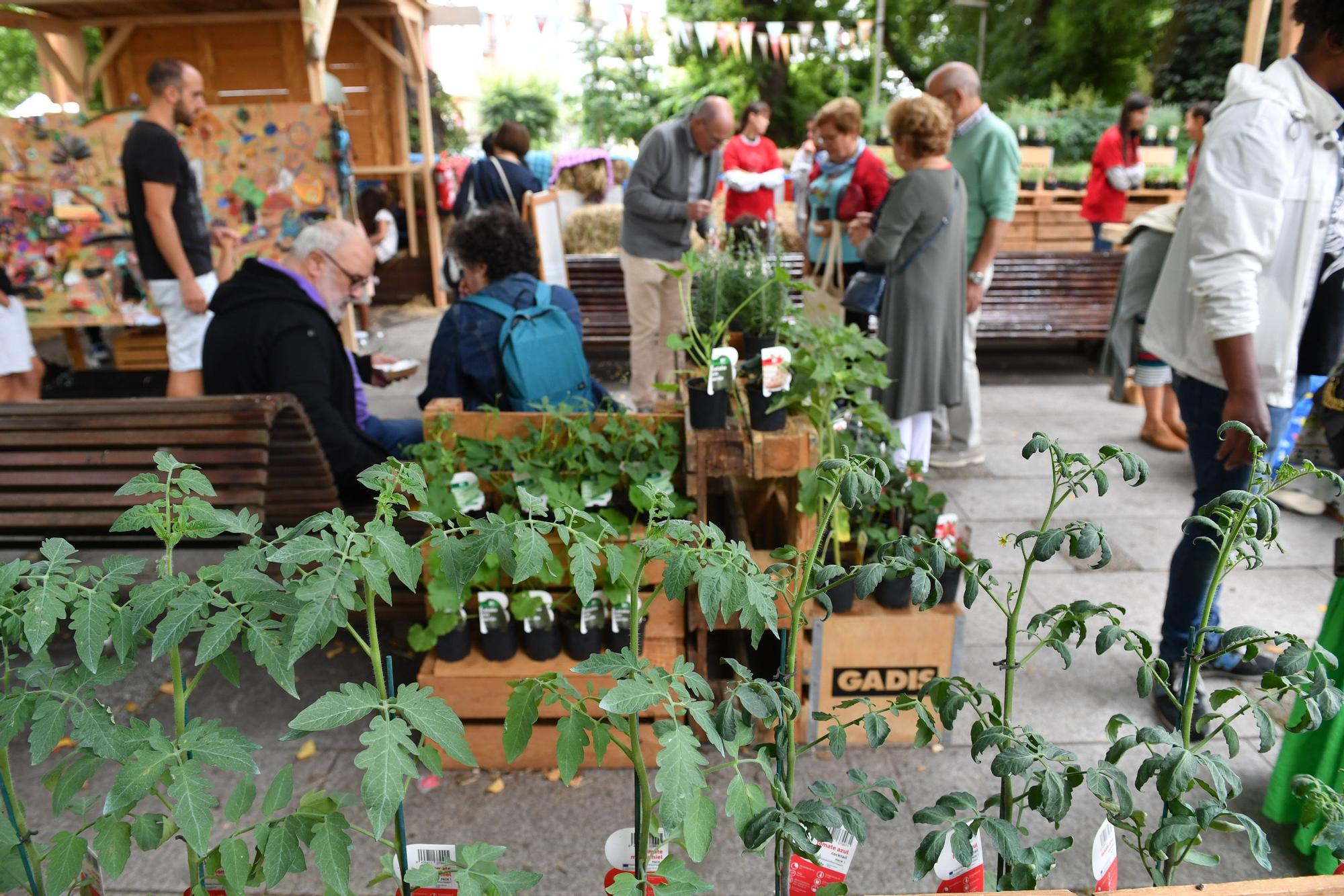 Mercado de la cosecha en el campo da Leña de A Coruña