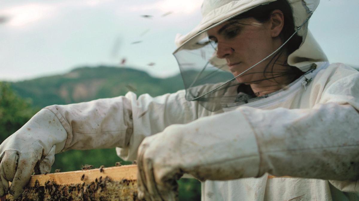 Fotograma de la película 'Hive (Colmena)', de Blerta Basholli