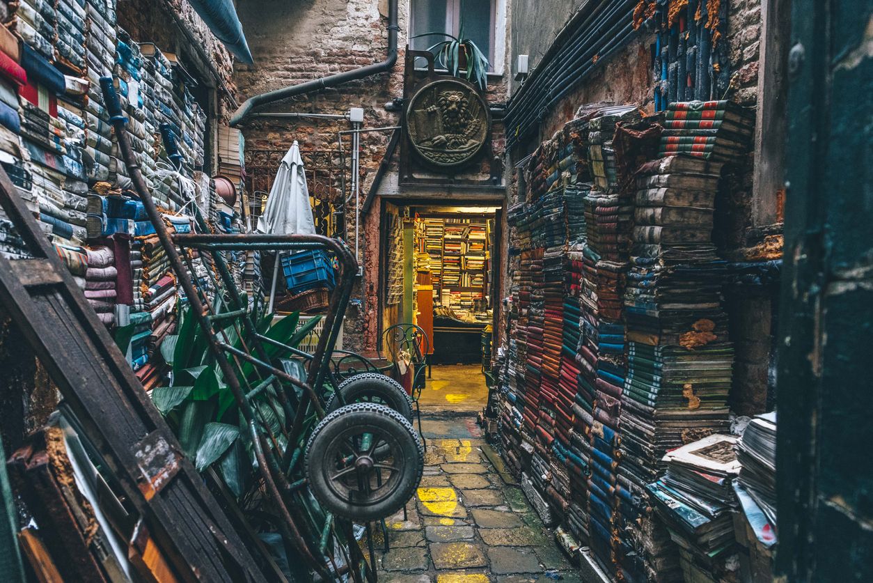 Venecia Turistas - Libreria