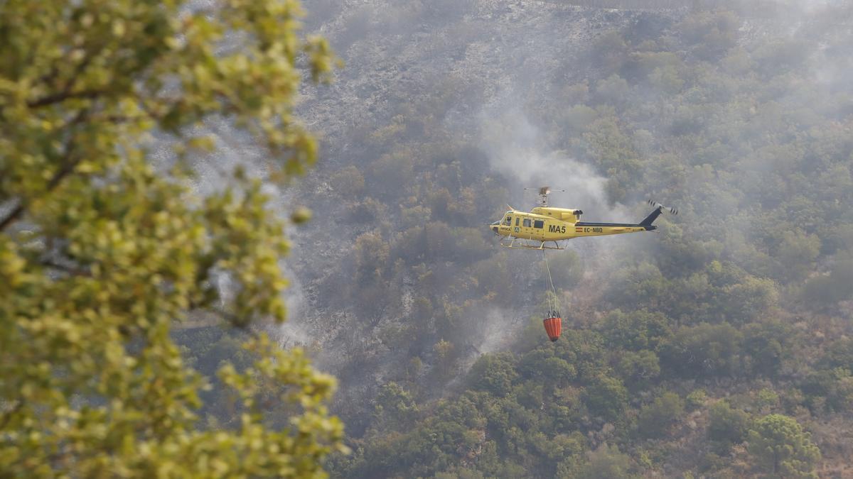 Un incendio en Sierra Bermeja provoca el desalojo de un millar personas en Estepona, Jubrique y Genalguacil