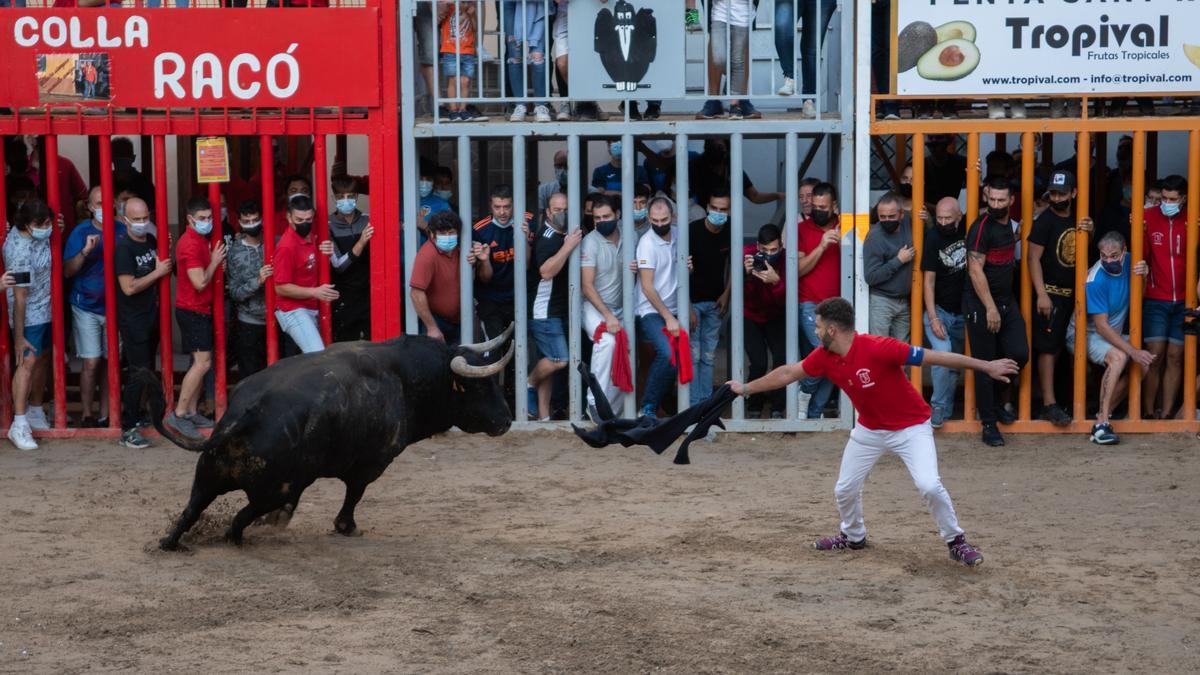 Un 'rodaor' quiebra al toro 'Potrero', de Hato Blanco, en Almassora.