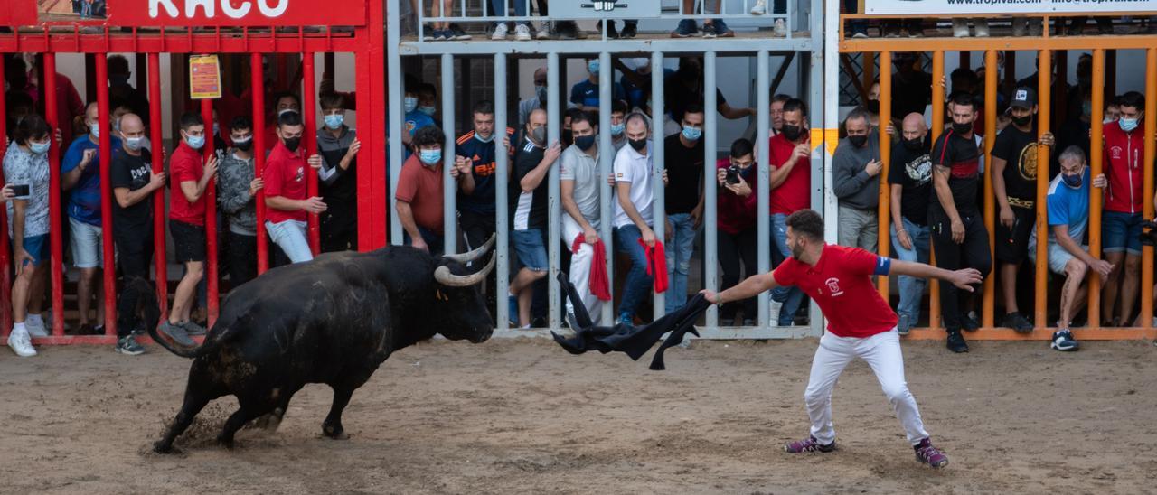 Así ha sido la actuación de 'Potrero', 'top 3' entre los mejores toros de las fiestas de Almassora