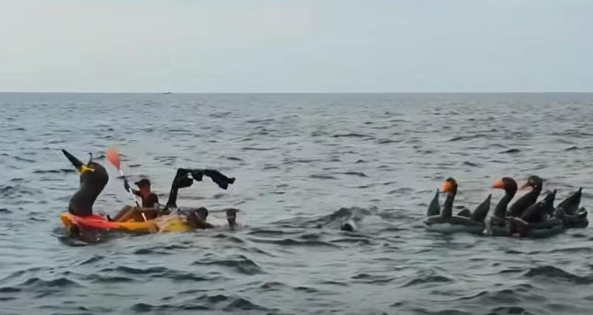 Algunos jóvenes han accedido a la cala en piragua. Algunos jóvenes han accedido a la cala en piragua.