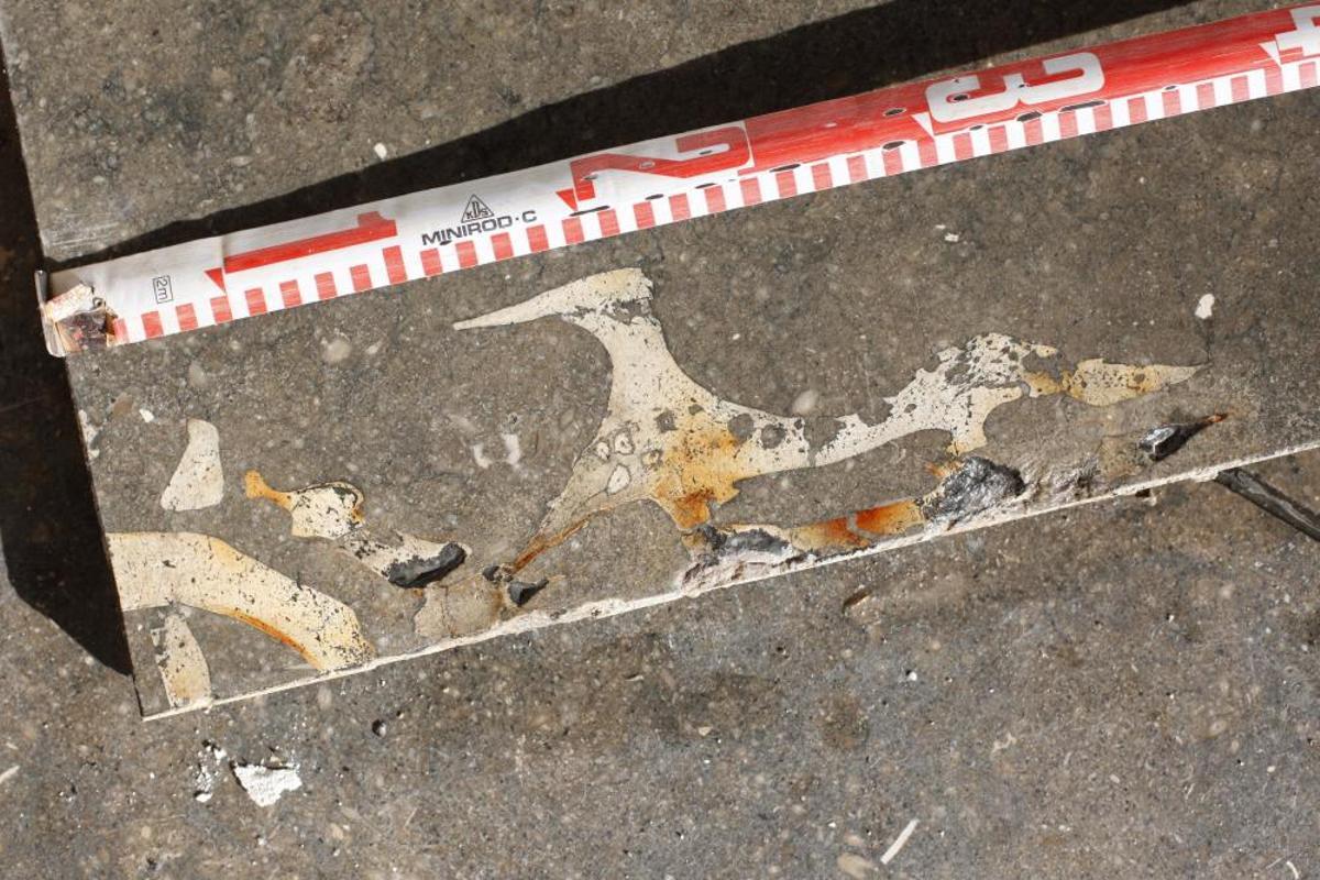 Retiren un fòssil descobert en un carrer de Girona