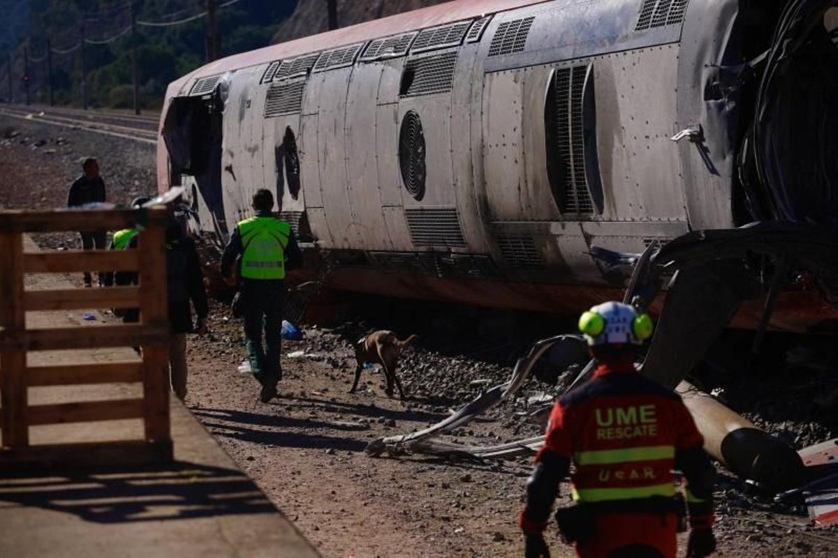 Tren Iryo siniestrado en Adamuz el 18 de enero pasado.